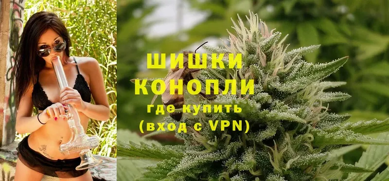 наркотики  Приволжск  Конопля White Widow 